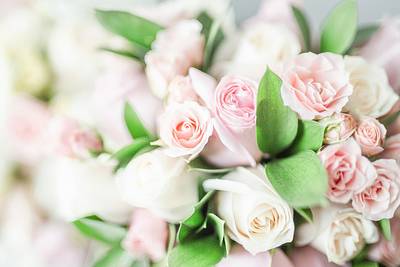 Florists – NelsonWedding.nz